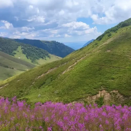 Macahel_inziva_doga-576x1024