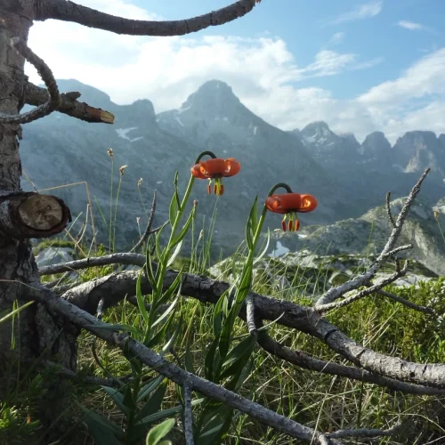 balkan_yuruyus_turu_northatravel01