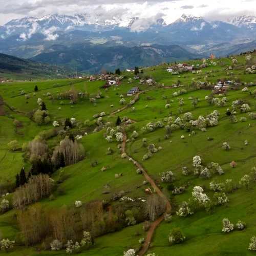 canerce__karadeniz_turu_northatravel09
