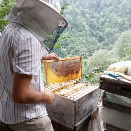 cay_bal_yolculugu_deneyim_turu03