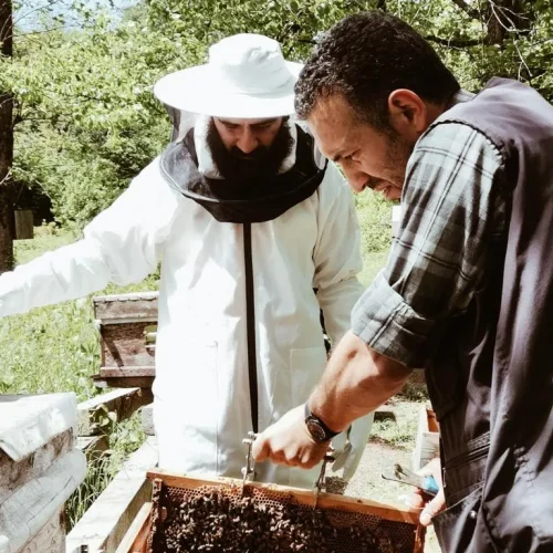 cay_bal_yolculugu_deneyim_turu04