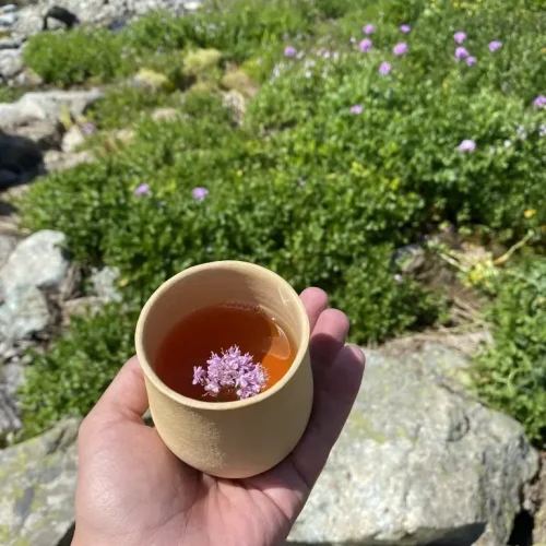 cay_bal_yolculugu_deneyim_turu07-768x1024