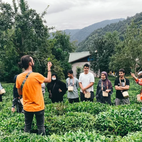 cay_bal_yolculugu_deneyim_turu10