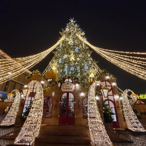 =gurcistan_noel_turu_northatravel08