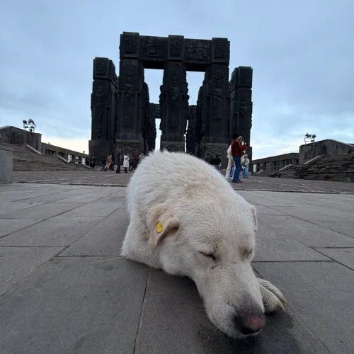 =gurcistan_noel_turu_northatravel12