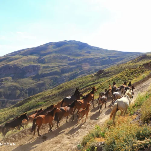 hakkari_cilo_buzullar_turu08