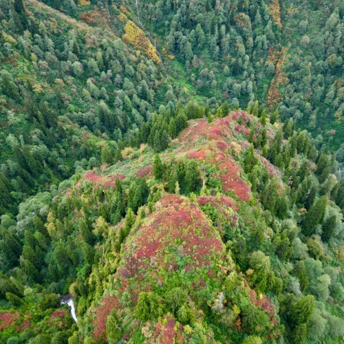 macahel_Savsat_sonbahar_turu_northatravel06