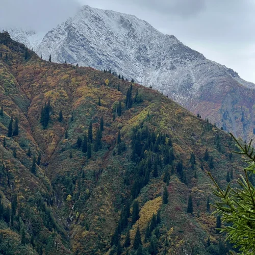 macahel_Savsat_sonbahar_turu_northatravel08