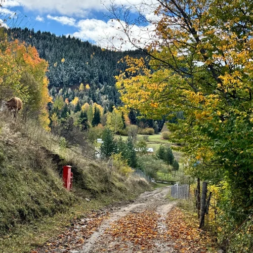 macahel_Savsat_sonbahar_turu_northatravel19