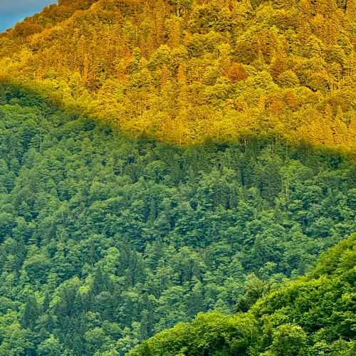 northatravel06