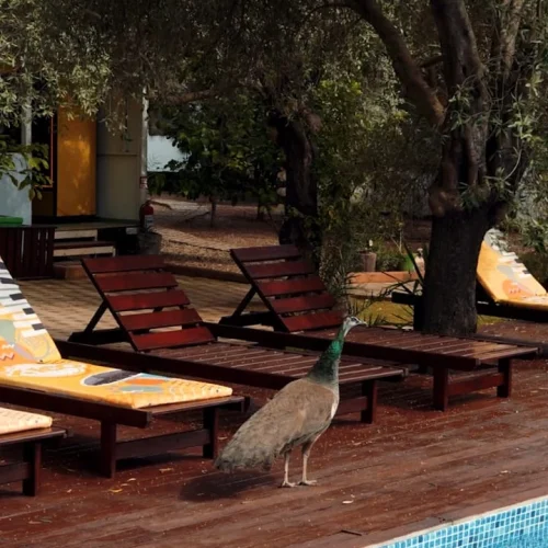 sinir_tanimayan_cocuklar_ekincik_sanat_Evleri_kampi_northatravel28